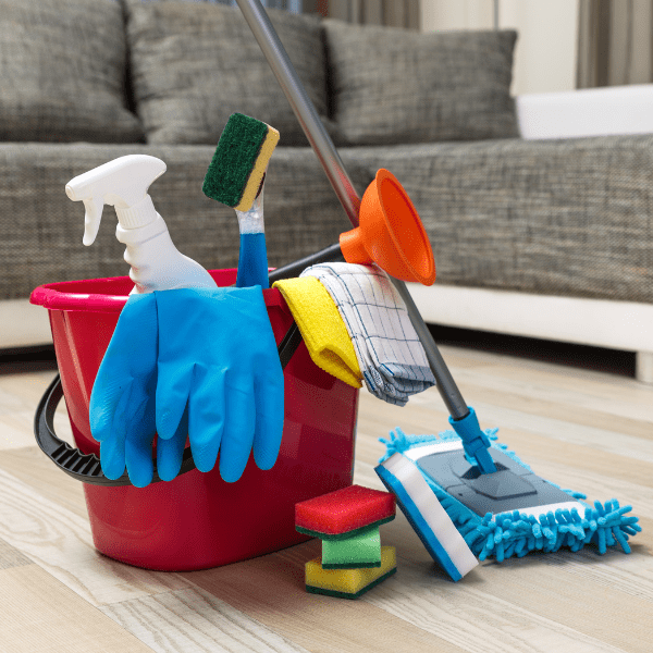 Professional Cleaning Services