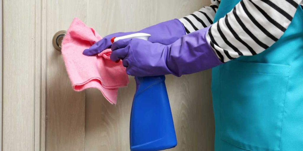 Professional maid spraying cleaning solution onto a cloth